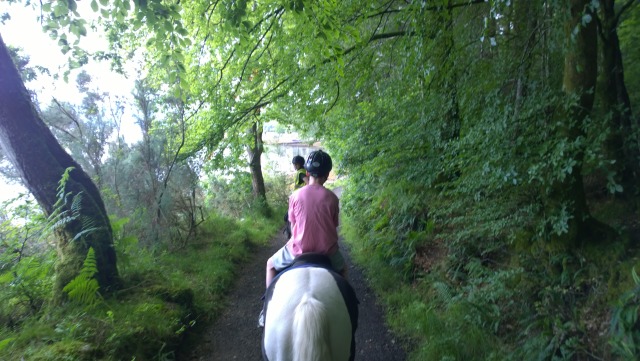 Active Family — Horse riding with Argyll Adventure