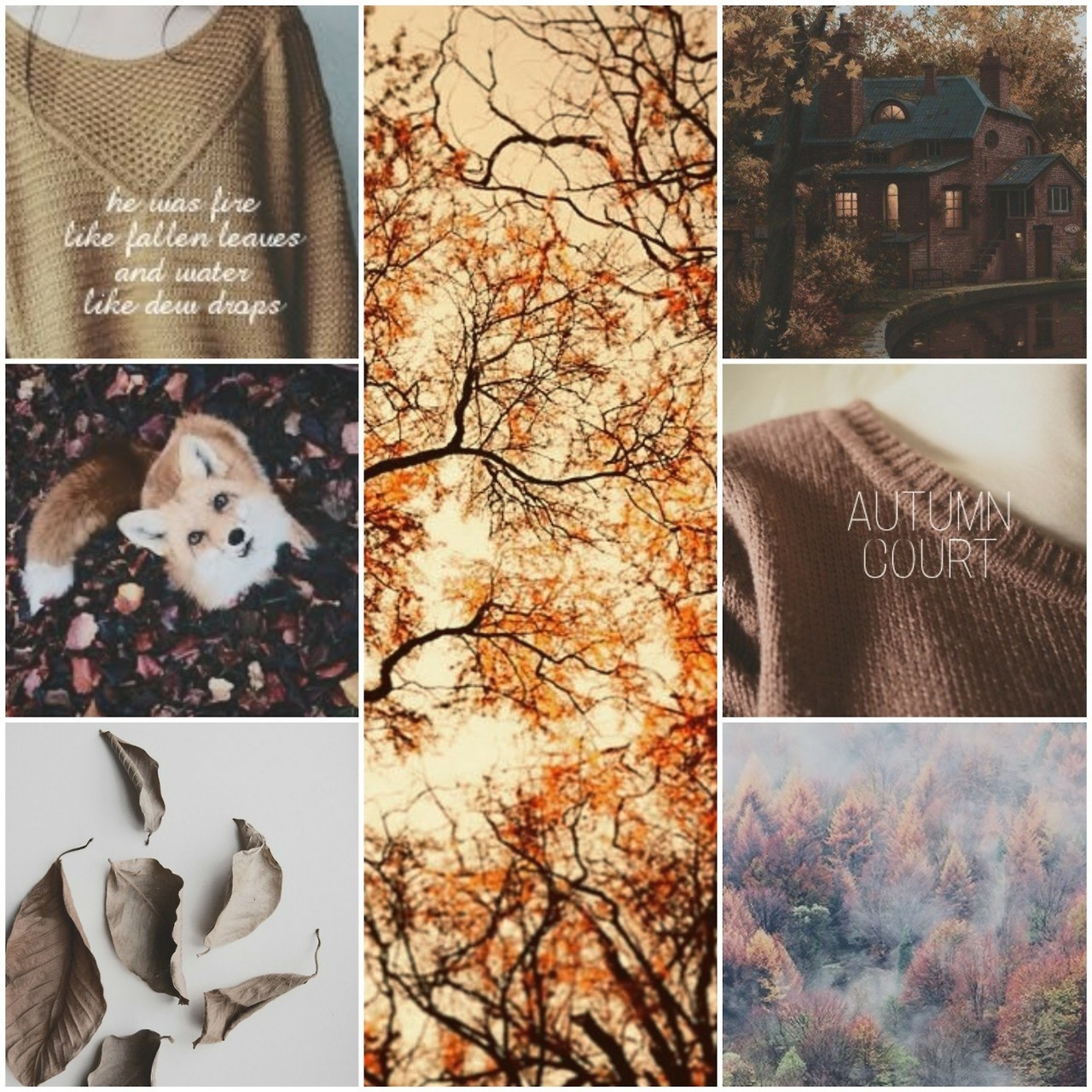 hiatus — autumn court aesthetic