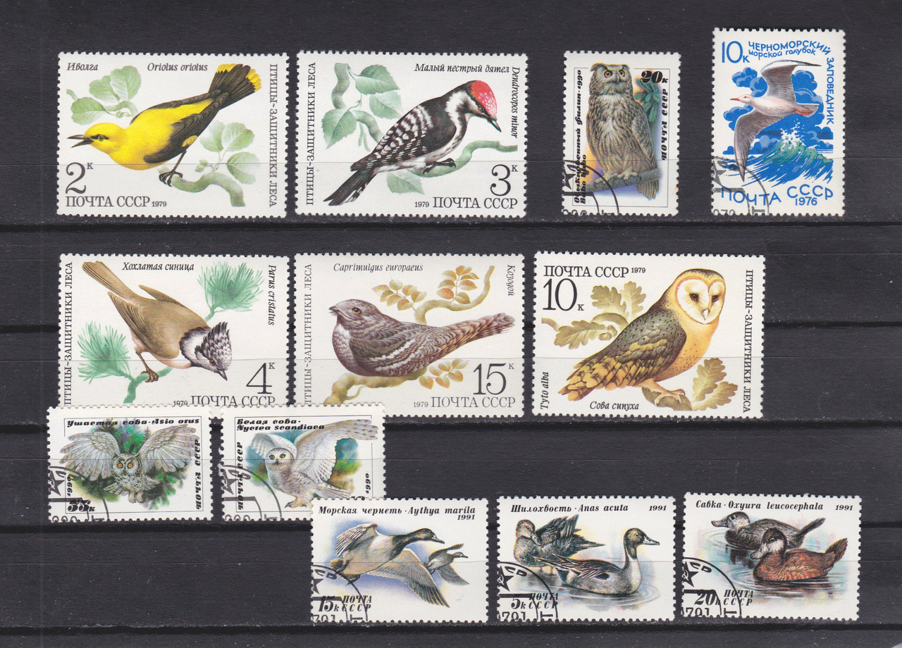 Vintage Soviet bird-themed stamps