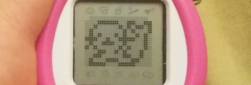 bootleg-tamagotchi-of-the-day