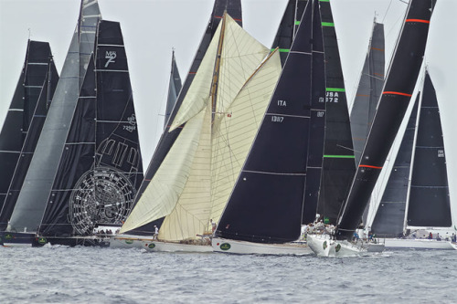 sailingshots:one of these is not like the others…Must be...