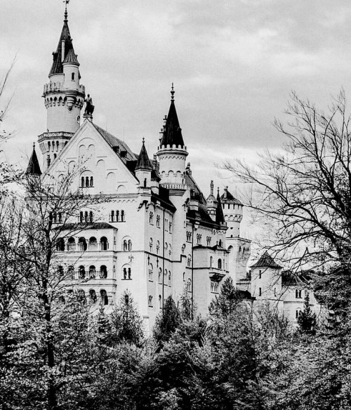 woods forest castle germany neuschwanstein schloss deutschland black and white b&w bnw nature follow like reblog aesthetic princess luxury prince 2018 november 4th