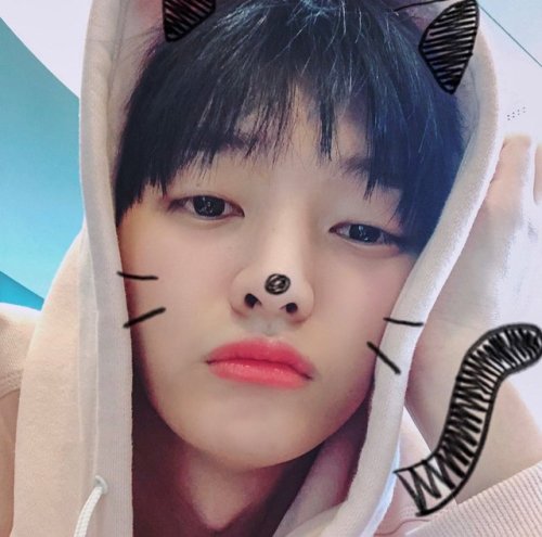 jisungdata:fancafe dp update.