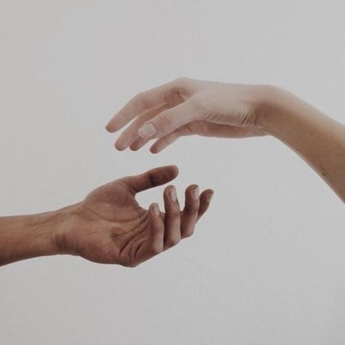 ardent-lachesism