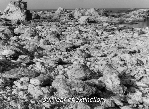 theprocessionofcelestialbeings:Persona (1966) | Dir: Ingmar...