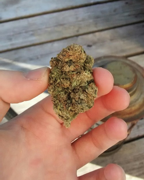 weed pictures on Tumblr