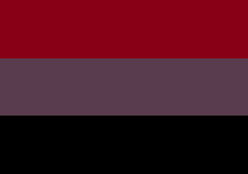 inclusive-flag-edits:Pride Flags inspired by Vampires!Please...