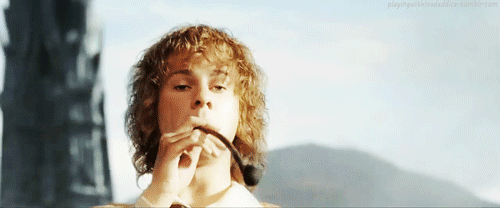 Image result for merry and pippin smoking gif