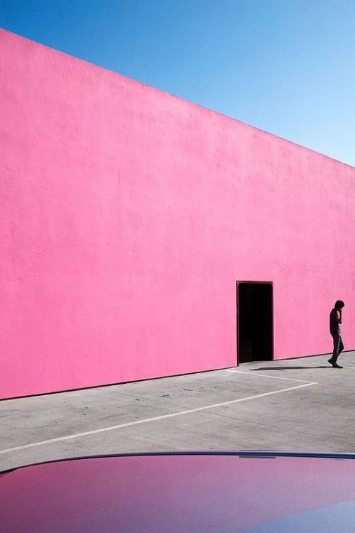 pink photography on Tumblr