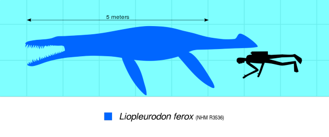 A Dinosaur A Day · Liopleurodon ferox, L. pachydeirus