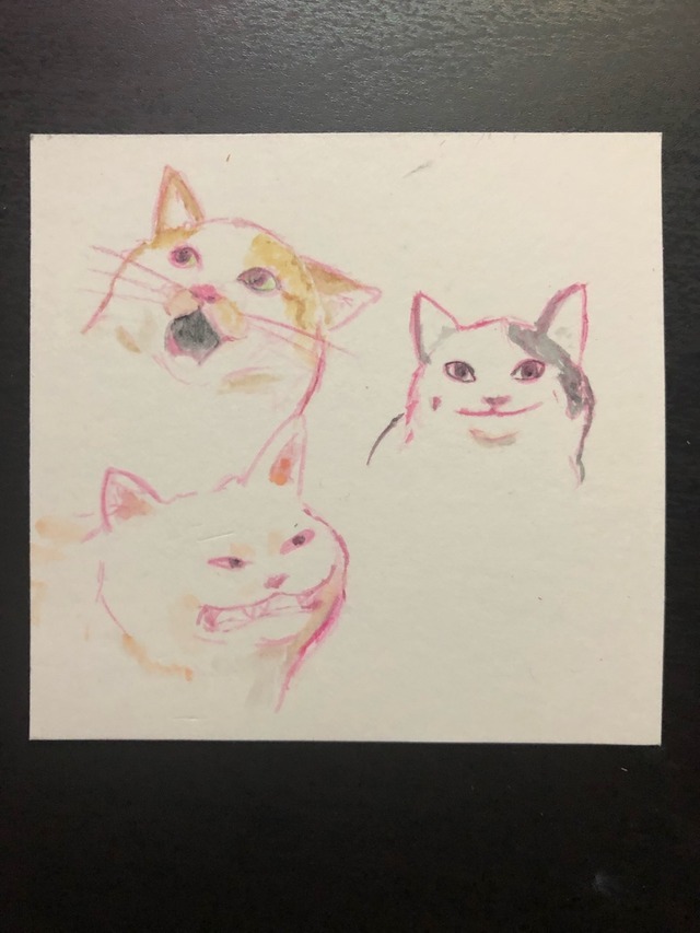 Enjoy some drawings of cat memes Check out more of...