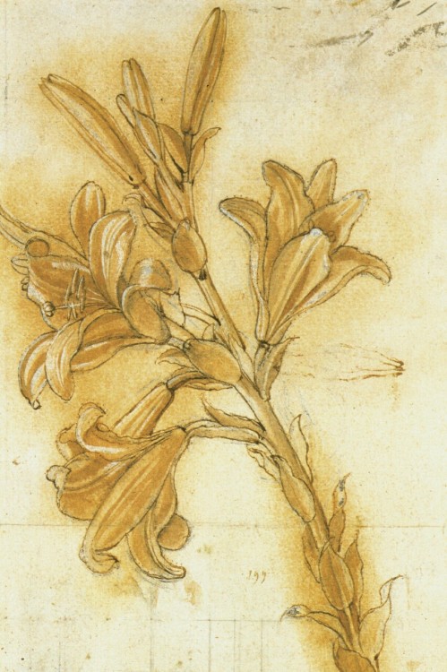 detailedart:Leonardo Da Vinci’s drawings and two design pieces...