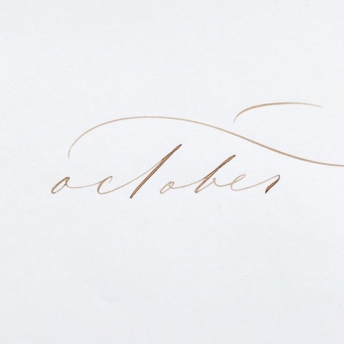 myfairylily:plumecalligraphy 