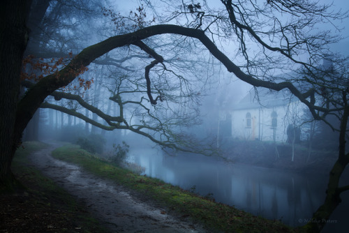 requiem-on-water:Lakeside House byNelleke