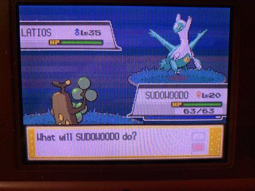 Shiny Odds Tumblr