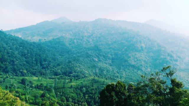 Fourteenyo — at Puncak, Jawa Barat, Indonesia