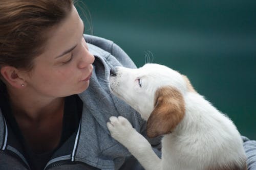 petmemorialgift