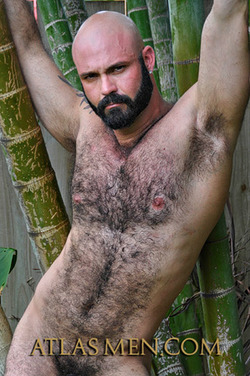 Oliviero 4 hairy!