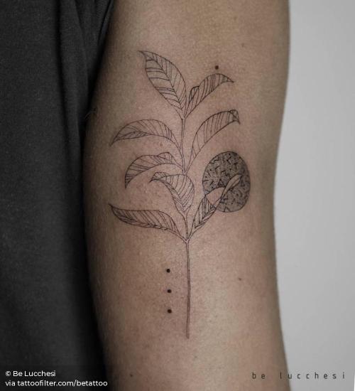 By Be Lucchesi, done in Berlin. http://ttoo.co/p/32408 betattoo;blackwork;facebook;fine line;illustrative;leaf;line art;medium size;nature;other;on dark skin;tricep;twitter