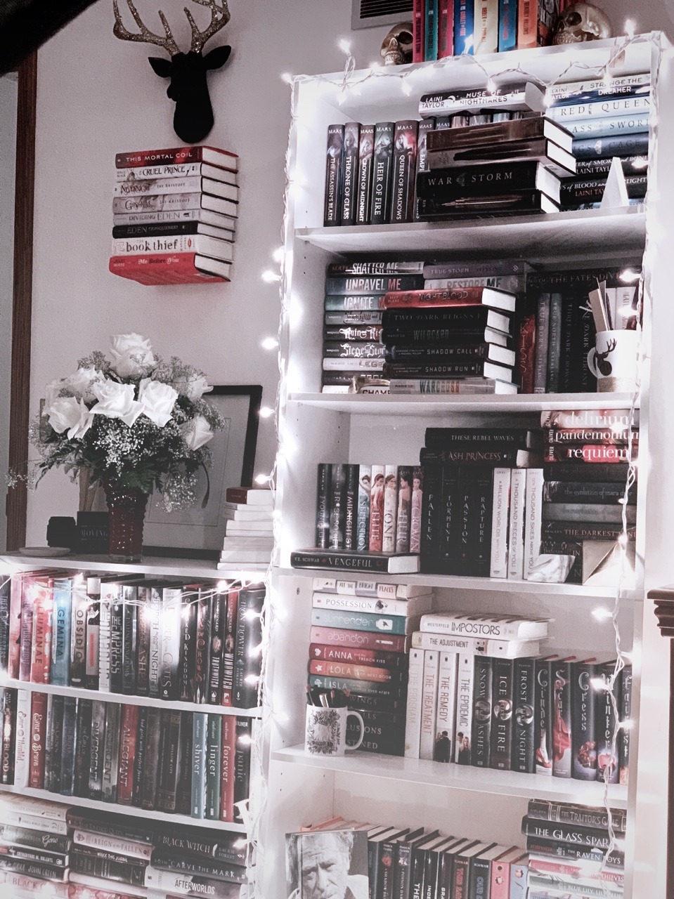 Bookshelves On Tumblr