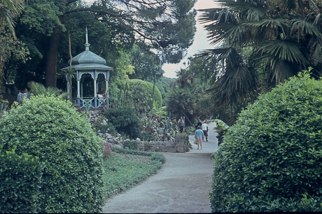 Nikitsky Botanical Garden in Yalta, Crimea (1971)