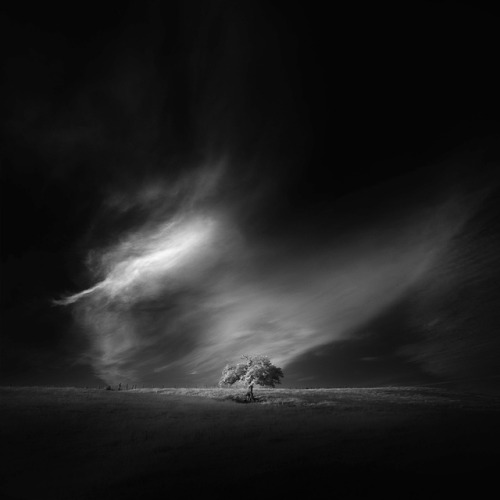 crossconnectmag:Featured photography by Andy Lee.Artist...