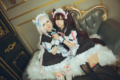 iamdorasnow:Nekopara Cosplay~Chocola cn : ReikoMiiaoVanilla...