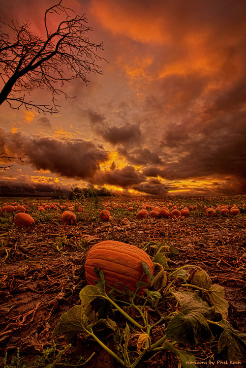 philkoch:“Waiting”Wisconsin Horizons by Phil Koch, turning...