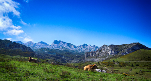 compressionoftime:Lagos de Covadonga (Asturias)