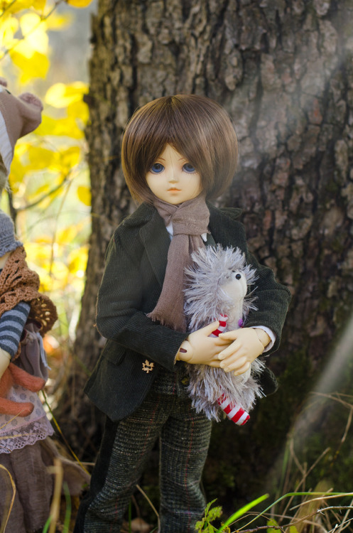 volks msd