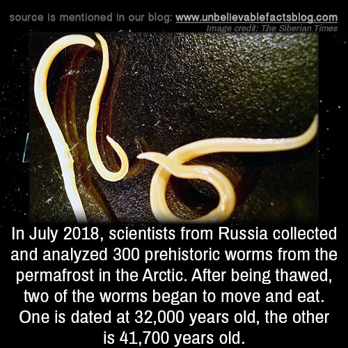 unbelievable-facts:In July 2018, scientists from Russia...