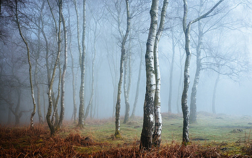 ponderation:Onlookers by James Mills                  &