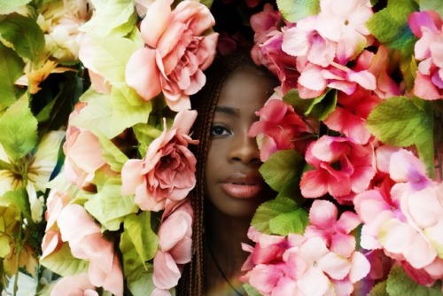 Flowers in the attic.