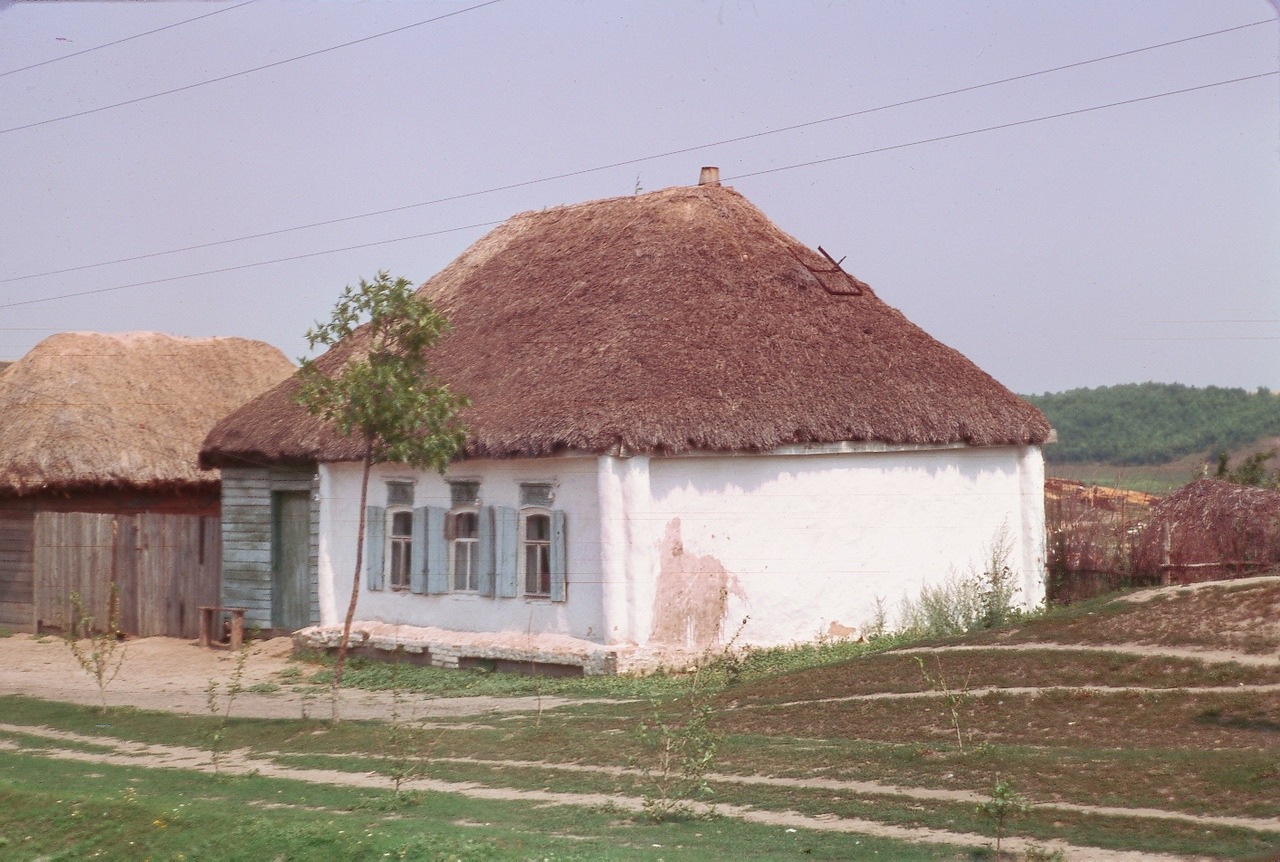 House in Verkhniy Lyubazh, Kursk region (1964)