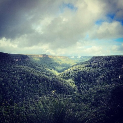 #kangarooriver #southernpielands #forrestbathing (at Carrington...