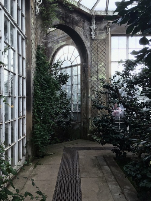 thekinddiaries:Instagram:@thekindiaries // greenhouses are one...