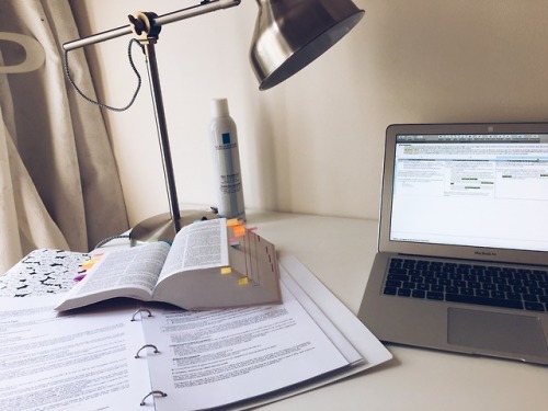 lawschoolstudying:Spending my summer revising for the bar exam …...