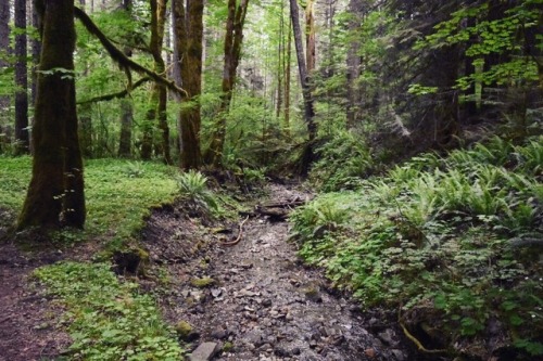 northwest-savage:Packwood, WA