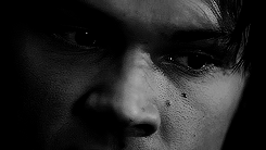 michaeldean