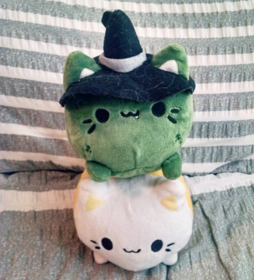 halloween meowchi