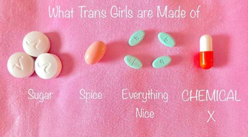 elierlick:Thus, The Trans Girls were born