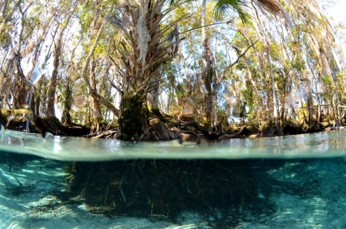 thelovelyseas:3 Sisters Springs byalbert kok