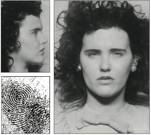 the black dahlia on Tumblr