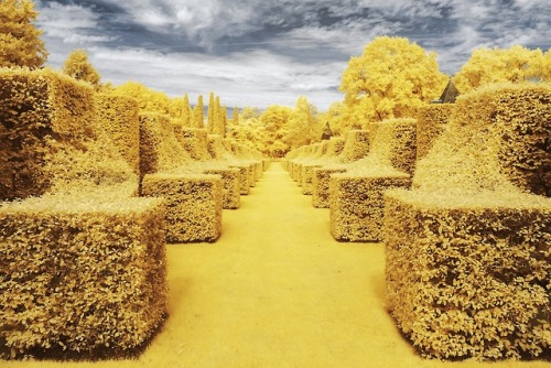 art photography infra red Pierre-Louis Ferrer dordogne landscape
