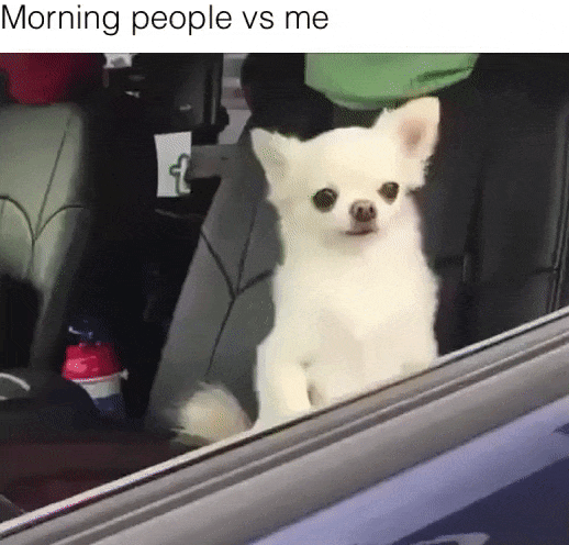 Gifs Love Kiss Gif Channel Telegram Gifs Skymeteor 3