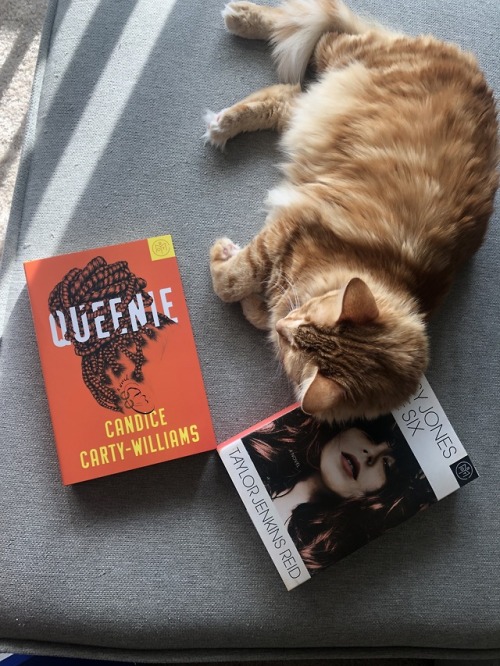 catnapsandbooks