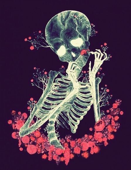 skeleton drawing on Tumblr