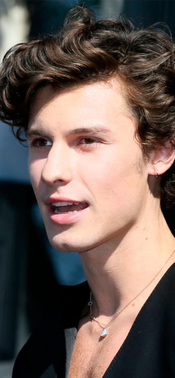 shawnmendesicons