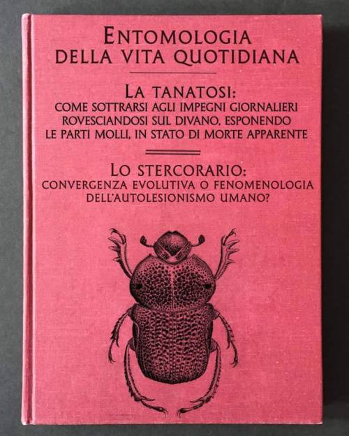 amaraebella:amaraebella:amaraebella:Numeri speciali sui momenti no delle regioni:Toscana...