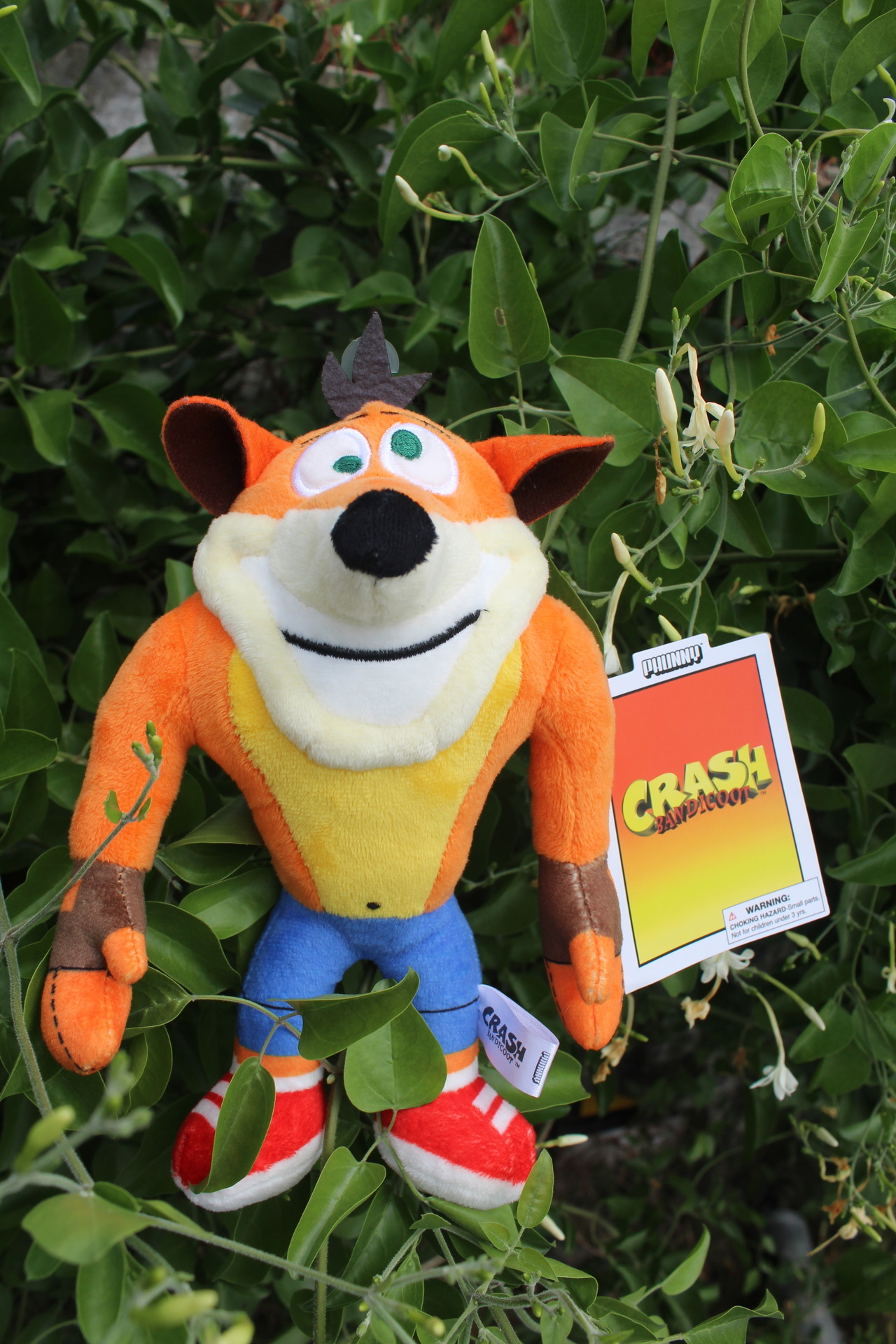 bandicoot plush